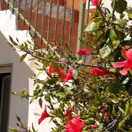 Casale Hibiscus Βίλα Santa Maria Del Focallo Εξωτερικό φωτογραφία