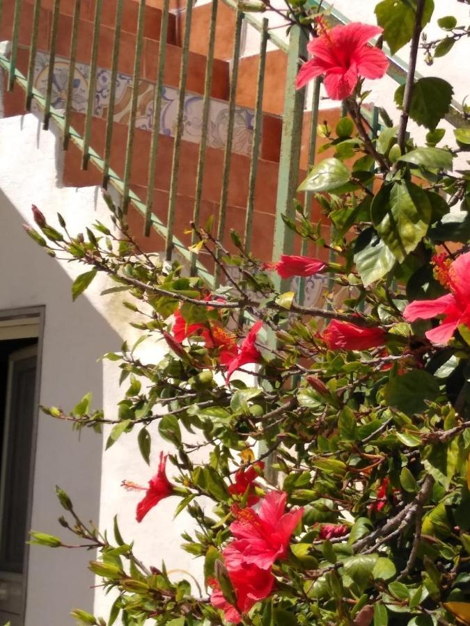 Casale Hibiscus Βίλα Santa Maria Del Focallo Εξωτερικό φωτογραφία